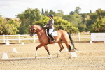 SBM_008608