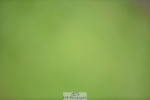 240605-131838-00403