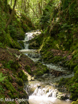 Glaslaw Burn Waterfall, 3