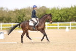 SBM_008028