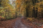 Autumn Display