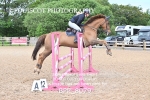BPP_8079