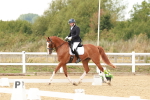 SBM_002008