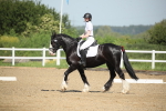 SBM_008001