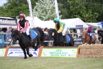 SBM_09940