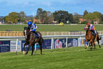 250424-Race 5-Arthurs Realm-1543