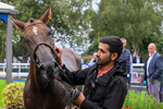 290826-Race 5-Supreme Clarets-7513
