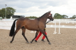 SBM_06943