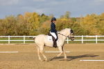 SBM_002754