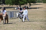 WJ6_9489