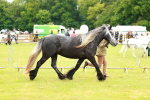 SBM_00367