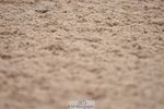 230630A-121236-01175