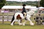 SBM_06117
