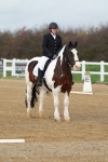 SBM_003441
