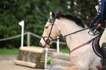 250309A-093646-00250