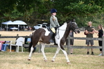 WJ6_3888