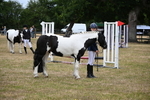 WJ6_4383