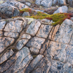 ROCK FACE - FOGO ISLAND