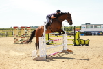 SBM_006553