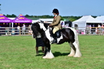SBM_09370