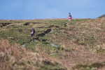Black Combe-981