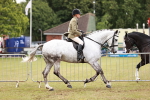 SBM_10768