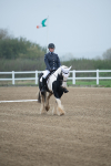 SBM_003380