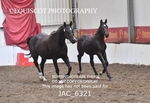 JAC_6321