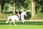 SBM_37365