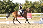 SBM_007863
