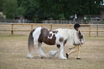 WJ6_7863