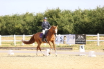 SBM_008590