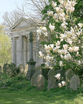 Magnolia Time, York Cemetery Chapel.Limited edtn 1/1 IMG_8743 copy 15