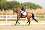 SBM_002486