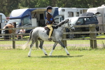 SBM_05437