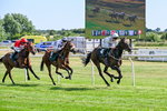 080726-Race 6-Velvet Rhythm-7788