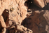Well-camouflaged Viscacha on rock, Chile