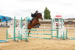 SBM_002175