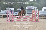 BPP_8981