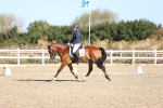 SBM_012440