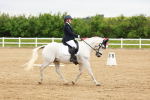 SBM_005608