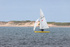 Appledore Regatta 9