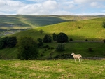 Great Whernside
