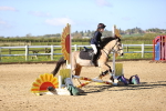 SBM_000206
