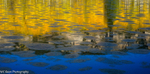 Cimmaron Reflection