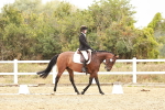 SBM_002861