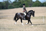 WJ7_7616