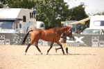 SBM_04599