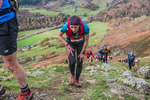 Stybarrow Dodd-446