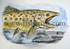 Taupo Brown Trout Watercolour.